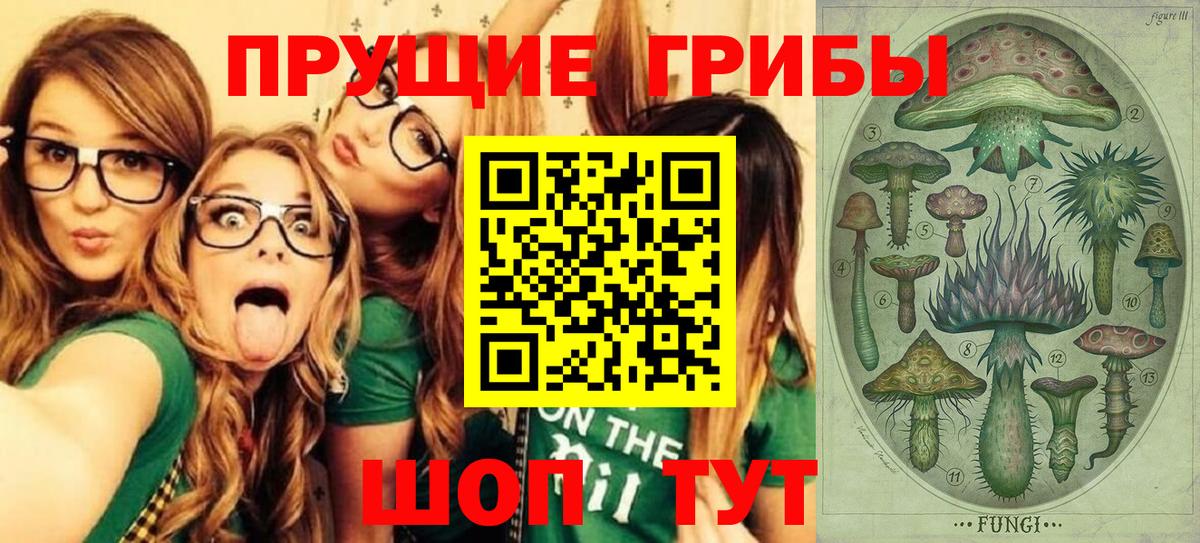 Псилоцибиновые грибы Psilocybine cubensis  Вход с VPN  Кстово 